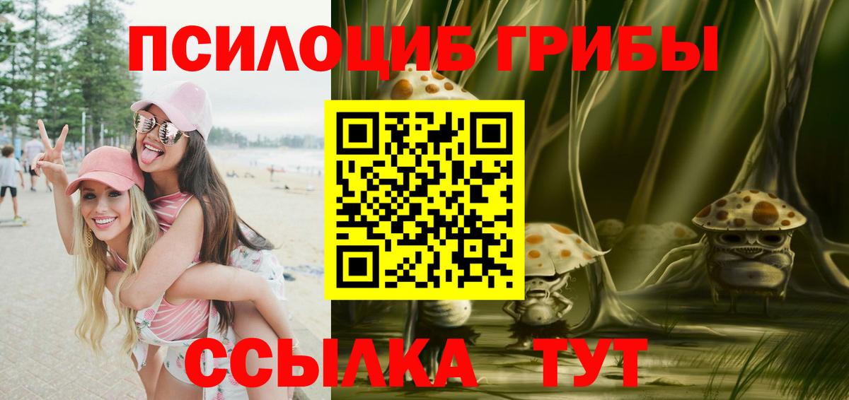Галлюциногенные грибы MAGIC MUSHROOMS  Вход с VPN  Чистополь 