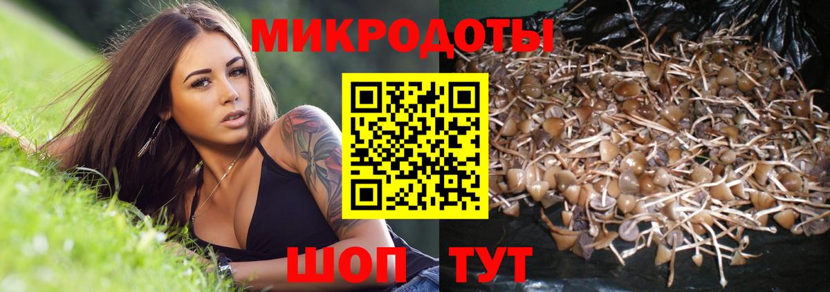 Псилоцибиновые грибы прущие грибы Чистополь